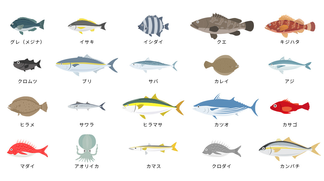 五島　お魚マップ